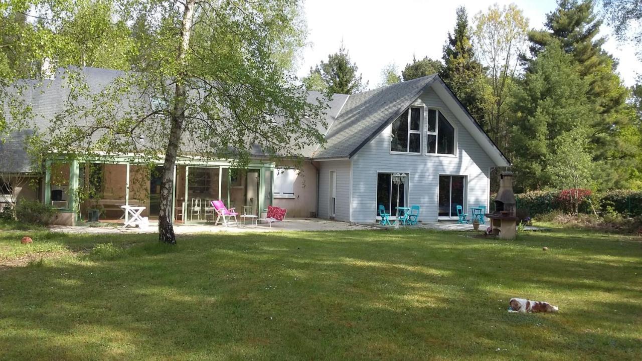 B&B La Foret De Charmeuse Ruaudin Exterior photo