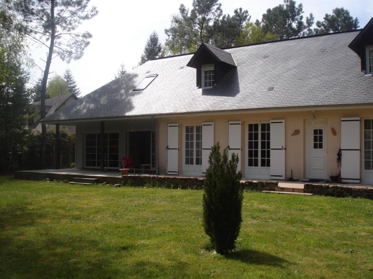 B&B La Foret De Charmeuse Ruaudin Exterior photo