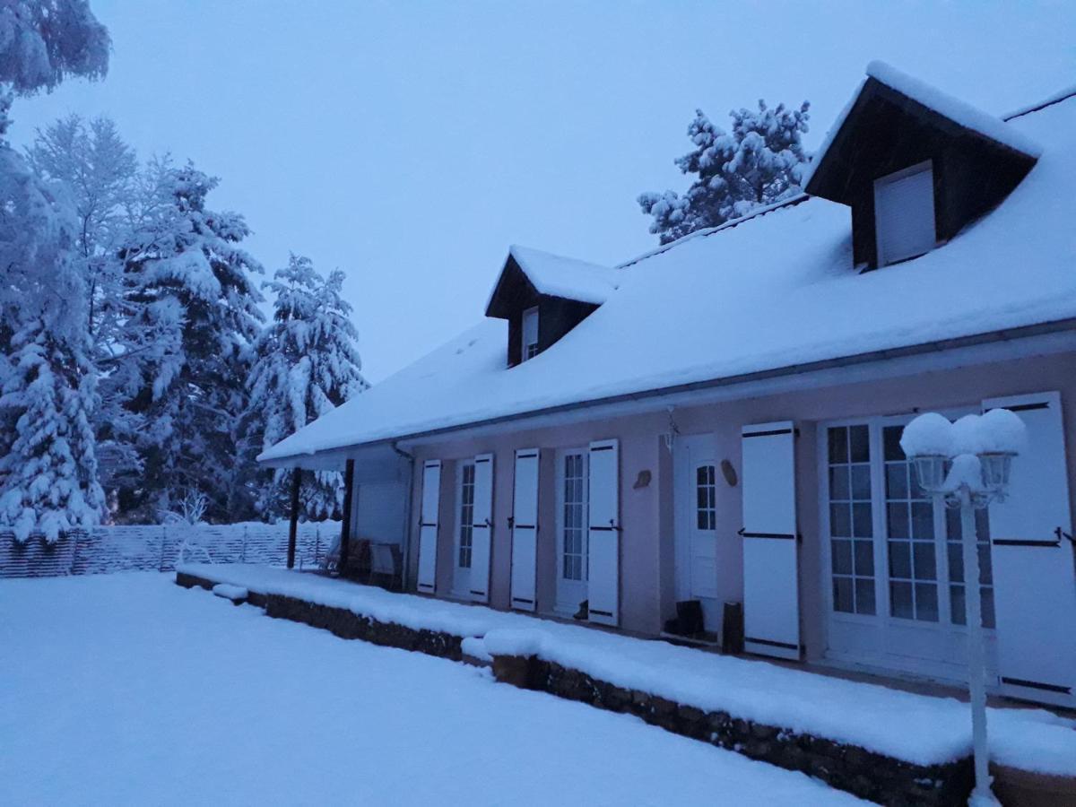 B&B La Foret De Charmeuse Ruaudin Exterior photo