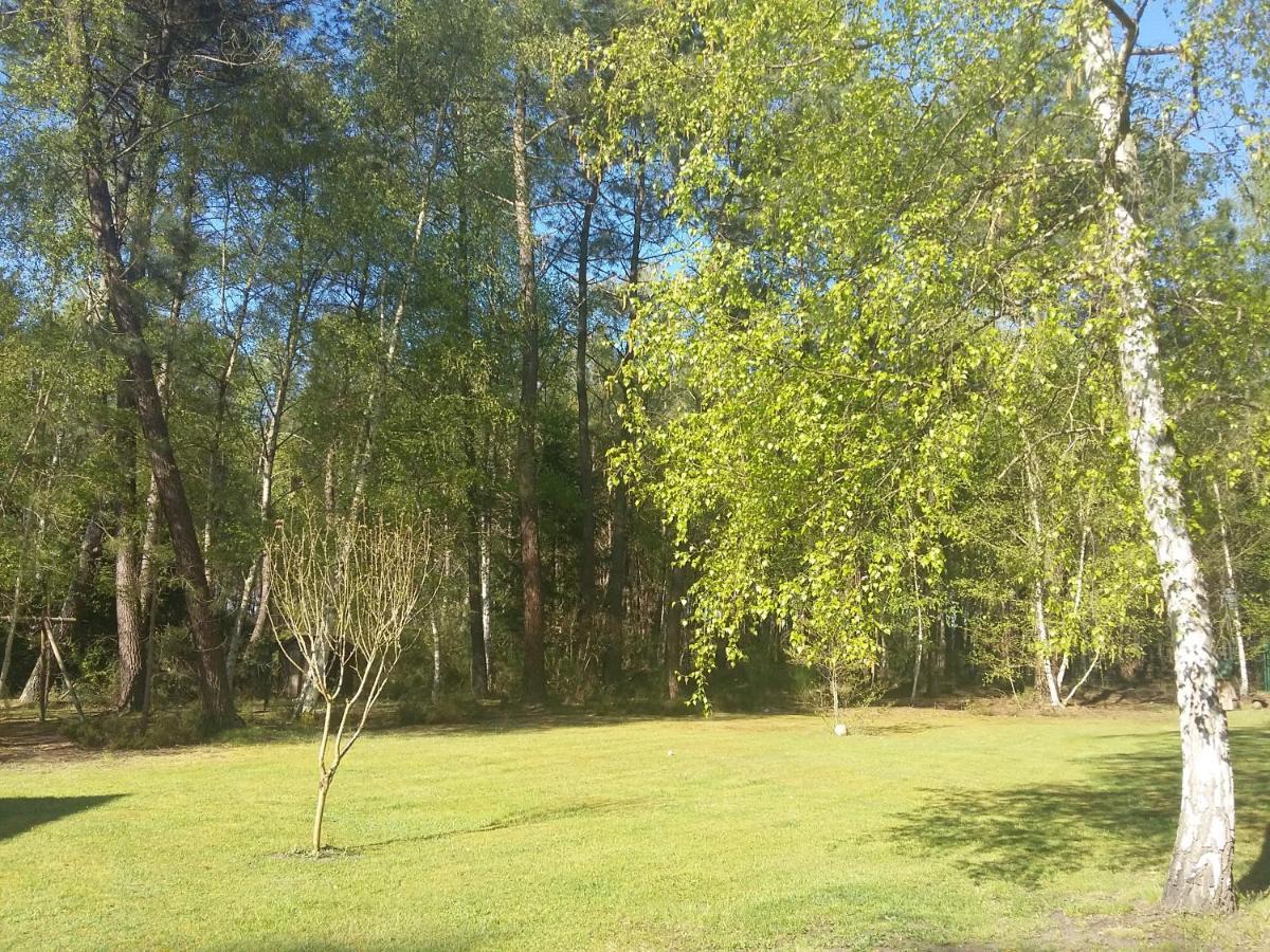 B&B La Foret De Charmeuse Ruaudin Exterior photo
