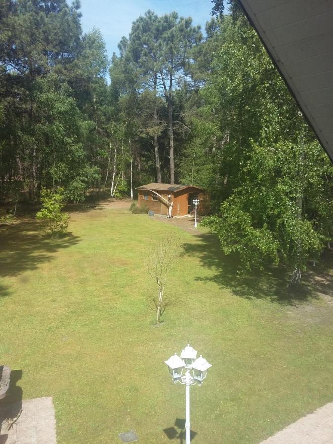 B&B La Foret De Charmeuse Ruaudin Exterior photo